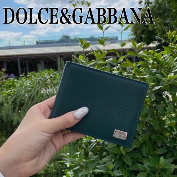 新品未使用☆ DOLCE&GABBANA ドルチェアンドガッバーナ　ドルガバ　二つ折り財布　財布　革財布　グリーン　緑　折り財布