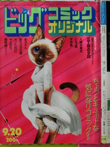 ビッグオリジナル 1983/ 9/20日号 木村理恵,芦川よしみ,原田知世,鈴木英夫,弘兼憲史,加藤唯史,山田武志,大鐘則夫,ふそう 大型トラック