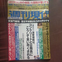 送料無料即決！週刊現代2013年11月16日号あびる優及川光博小沢真珠みのもんた_画像1