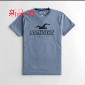 HOLLISTERスポーツニット ロゴグラフィックTシャツ 半袖Tシャツ HOLLISTER ホリスター