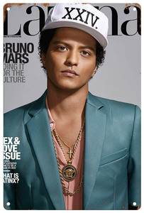 ブリキ看板【 Bruno Mars / ブルーノ・マーズ 】R&B/pop/ポップ/音楽/ポスター/マガジン風/雑誌/インテリア/サビ風-5