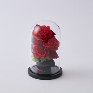 * rose RED * стекло купол S консервированный цветок стекло купол S. цветок организовать стекло купол аранжировка стекло стакан 