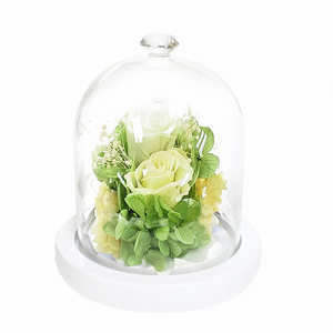 * jewel green * motif dome arrangement preserved flower glass dome motif dome arrangement 