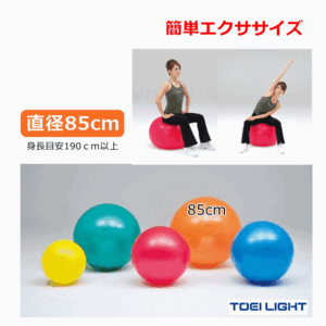 2023年最新】ヤフオク! -ボール リハビリの中古品・新品・未使用品一覧