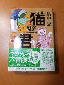 猫君 （集英社文庫　は５０－２　歴史時代） 畠中恵／著