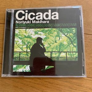 槙原敬之／Ｃｉｃａｄａ 