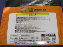 一番くじ 水曜どうでしょう 対決列島 Ｃ賞 ブランケット 未使用品　【大泉洋・鈴井貴之】_画像4