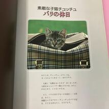 A54-166 素敵な子猫チュッチュ パリの休日 ラブリーキャット 海外シリーズ 1 ニ見書房 カバー背表紙、裏表紙、表紙、凹み折れ破れ汚れ有り_画像5