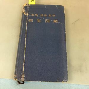 A58-093 動物・植物・鉱物 採集図鑑 坂本越郎監修 梧桐書院 表紙に折れ 破れあり。