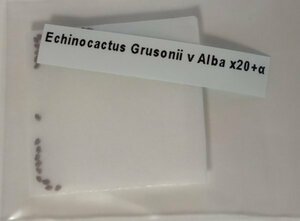 エキノカクタス グルソニー アルバ 白刺金鯱 種子 20粒+α Echinocactus Grusonii v Alba 20 seeds+α 種 サボテン