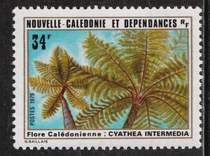 カメールーン切手　植物　ヤシ　　「CYATHEA INTERMEDIA」 1979