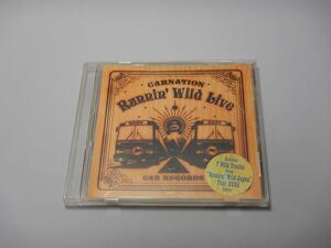 カーネーション / RUNNIN' WILD LIVE