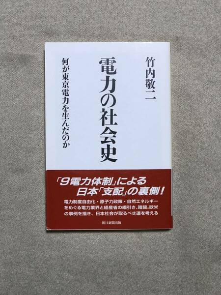 電力の社会史 何が東京電力を生んだのか　竹内敬二　2016年6月発行