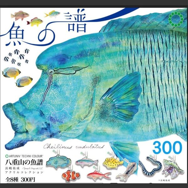 八重山の魚譜 アクリルコレクション 全8種類 新品 ボールチェーン 魚拓 ストラップ 透明感のある美しいプレート