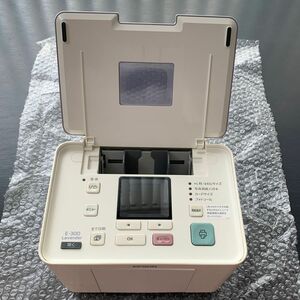 EPSON E-300 エプソン カラリオミー