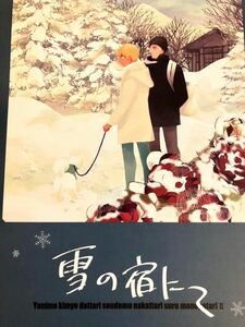 名探偵コナン 雪の宿にて～世にも奇妙だったりそうでもなかったりする物語 2～　赤井秀一×安室透　NHMお湯割り様　同人誌　赤安