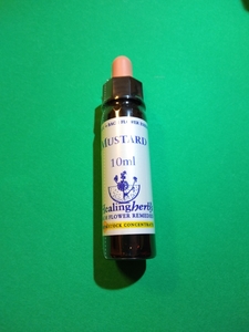 21. mustard healing herb s company flower essence mustard Mustard(no is lagalasi) flower essence 10ml entering! new goods * super-discount 