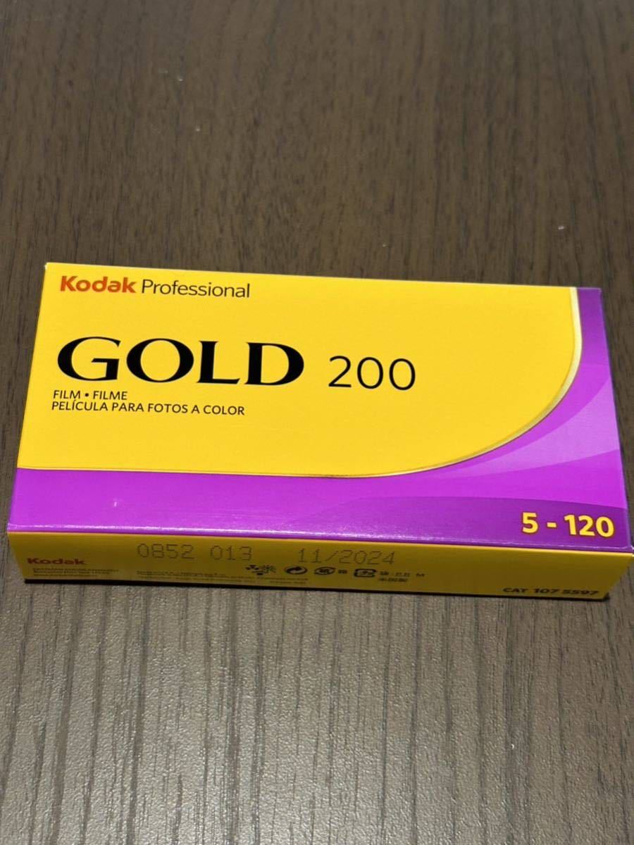 未使用品 使用期限内(2024/11) Kodak GOLD 120中判ネガフィルム 1