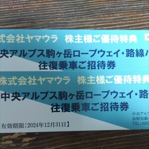 駒ヶ岳ロープウェイ・路線バス 往復乗車 招待券 2枚セット　送料無料　有効期限2024年12月31日