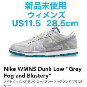 新品未使用 NIKE WMNS DUNK LOW SE - FJ5473-099