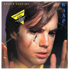 【LP US盤】 (TODD RUNDGREN) SHAUN CASSIDY　wasp　トッド・ラングレン、プロデュース名義だけど事実上ソロ　1980年作　オリジナル盤