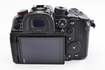 #c282★美品★ Panasonic パナソニック LUMIX DC-GH6 ボディ シャッター数１９００枚以下_画像6