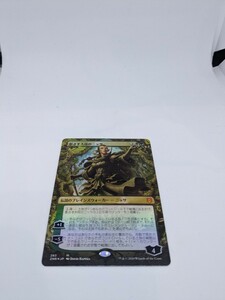 MTG　【JP】【Foil】(283)■ボーダーレス■《影さす太枝のニッサ/Nissa of Shadowed Boughs》[ZNR-BF] 金R