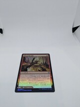 MTG　【JP】【Foil】(166)《棘平原の危険/Spikefield Hazard》/《棘平原の洞窟/Spikefield Cave》[ZNR] 赤U_画像1