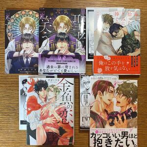 4冊セット「黒い聖者は二度笑う」「金魚の恋」「海で拾ったきみに捧ぐ」「ミスターグラビア」サガミワカ　リーフレット・特典ペーパー3種付