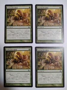 MTG マジックザギャザリング 突然変異の捕食 日本語版 4枚セット