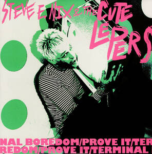 即決 新品 STEVE E NIX & THE CUTE LEPERS - OUT OF ORDER / 黒盤 powerpop 