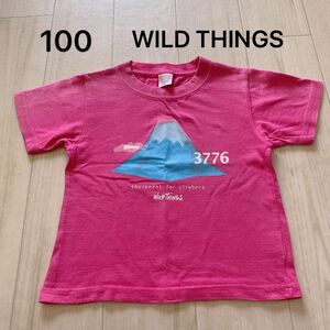 Tシャツ　半袖　男の子　ボーイズ　キッズ　100 ワイルドシングス　富士山　WILD THINGS