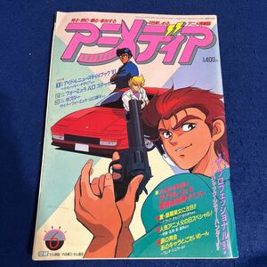  monthly Animedia *1991 year 6 month number * seal attaching *.. included poster attaching * The * Professional '91
