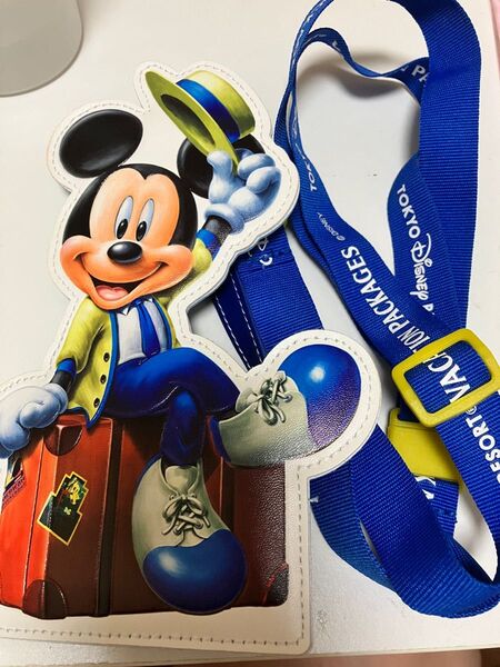 ディズニーリゾート ミラコスタ 特典 バケパ パスケース