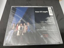 SONS OF ANGELS / s.t. レア　輸入盤　未開封新品【新品/送料込】_画像2