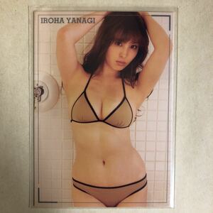 柳いろは トレカ アイドル グラビア カード 水着 ビキニ 04 タレント トレーディングカード