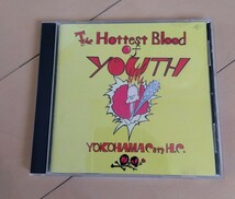 THE HOTTEST BLOOD OF YOUTH CD 検）du stnoise neepples braineaters flame dry powerunit 可燃引火 gism zouo gauze confuse_画像1