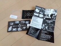 THE HOTTEST BLOOD OF YOUTH CD 検）du stnoise neepples braineaters flame dry powerunit 可燃引火 gism zouo gauze confuse_画像4