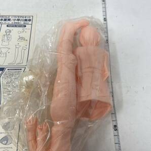 中古 逮捕しちゃうぞ 辻本夏実 1/6未組み立てキット・海洋堂 現状品 の画像5