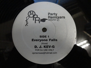 DJ Kev G - Everyone Falls キャッチーPOP SWV / RIGHT HEREネタにラガ・サウンド　定番12 視聴