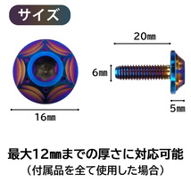 チタン合金製ボルト◆二輪ナンバー専用◆バーントブルー色◆Kawasaki/カワサキ/ニンジャ400/ゼファーχ/ZRX1200/ZX14R/エストレヤ_画像5