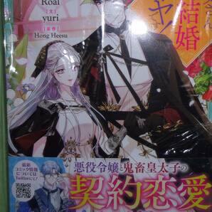 お父さん、私この結婚イヤです！　5巻