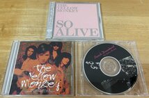 ◎THE YELLOW MONKEY SAMPLE CD3枚Set① Triad Years actII② Punch Drunkard③So Alive【COCA-14101/FHCF-2412 /FHCF-2457】1997~99年発売_画像1