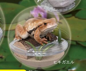 【即決】　ヒキガエル カプリウムコレクション　カエル　Qualia　クオリア　ガチャ