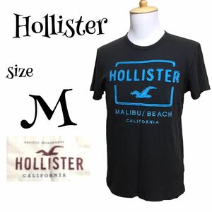 ホリスター　HOLLISTER Tシャツ ロゴ ブラック M サイズ 半袖Tシャツ