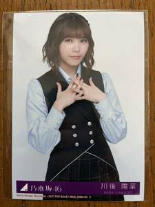 乃木坂46 ハルジオンが咲く頃 特典生写真 川後陽菜 ヨリ