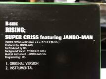 レア 製品プロモ盤 2000 Nanjaman Feat 風林火山 / Karate Style b/w Super Criss Feat Janbo-man / Rising Bay Squad Original Japan 12_画像7