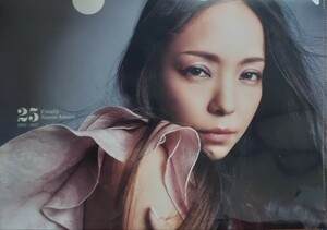 安室奈美恵２５周年（Ａ４）クリアファイル 同梱可