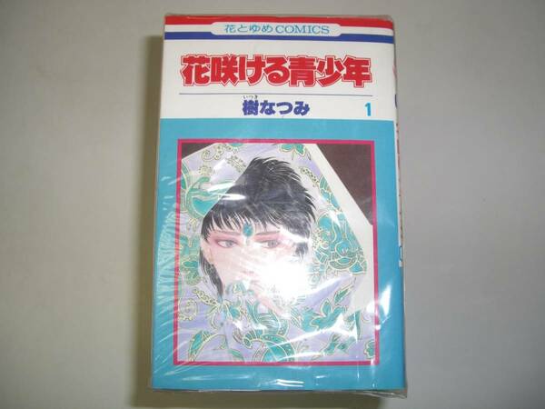 花咲ける青少年　　全１２巻セット　　　作：樹なつみ