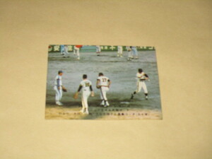  Calbee Professional Baseball card 75 year 1 all Star series length island tree . rice field . large arrow 